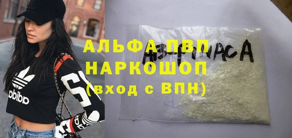 прущие грибы Покровск